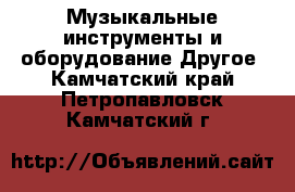 Музыкальные инструменты и оборудование Другое. Камчатский край,Петропавловск-Камчатский г.